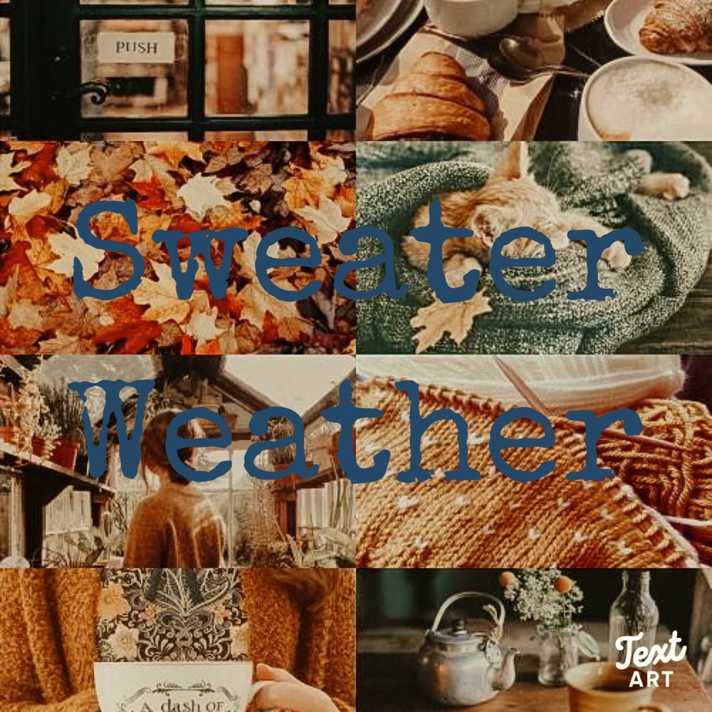 Look at the various comfy sweaters in my closet.
